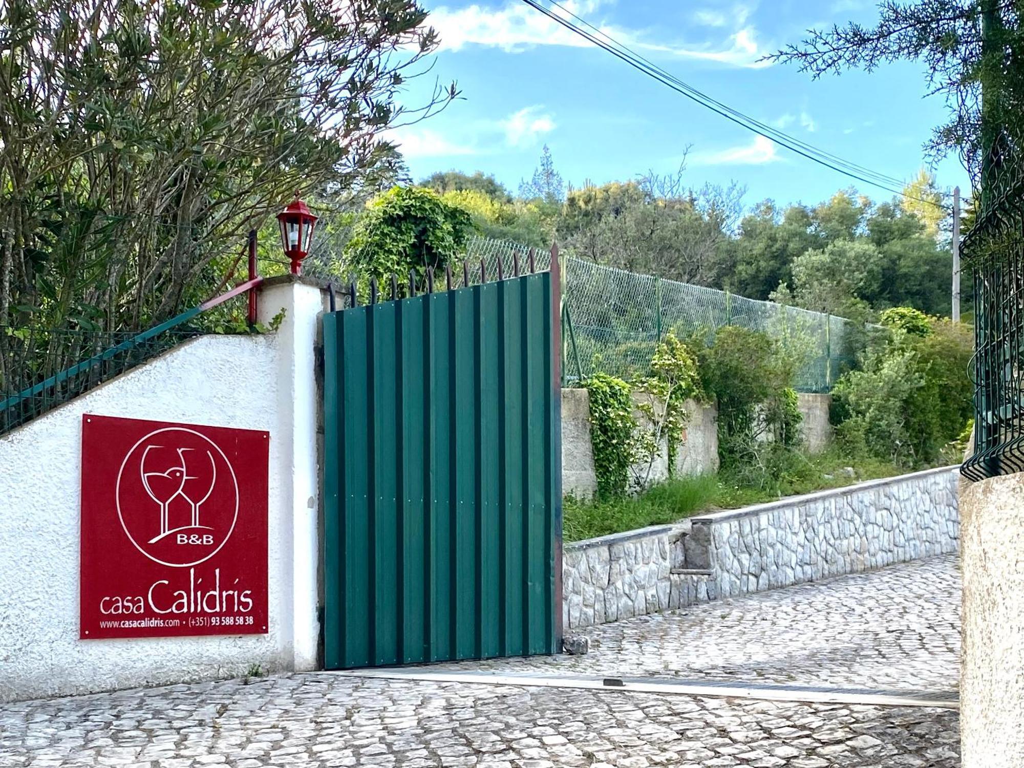 Casa Calidris - Bed, Wine & Breakfast Hotel Sesimbra Ngoại thất bức ảnh